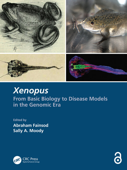 Title details for Xenopus by Abraham Fainsod - Available